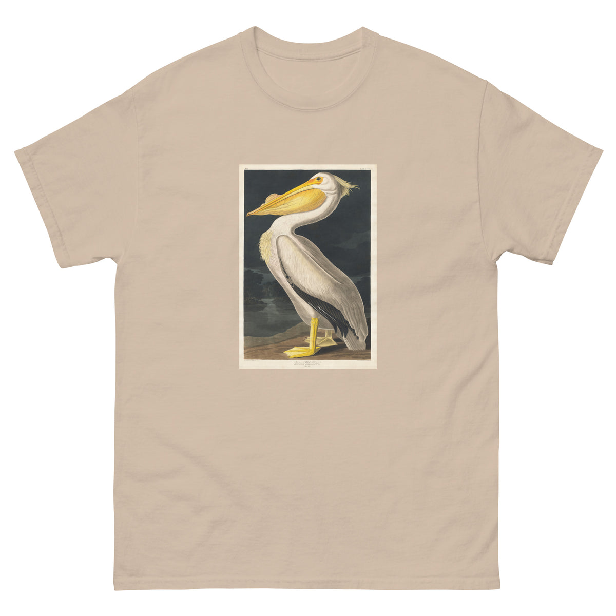 Sand T-shirt American White Pelican Essential