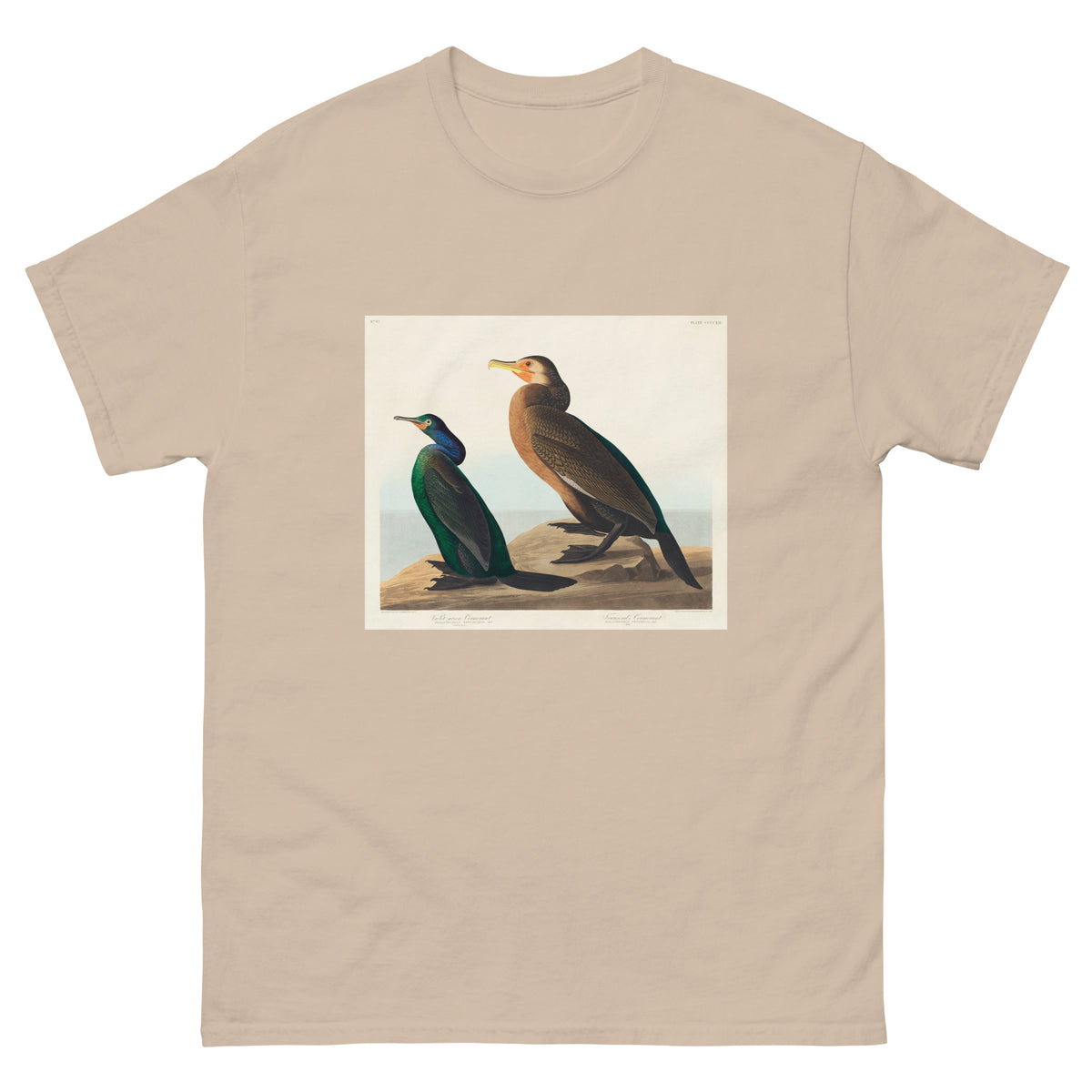 Sand T-shirt Violet-Green Cormorant And Townsend S Cormorant - John James Audubon 1827 Essential