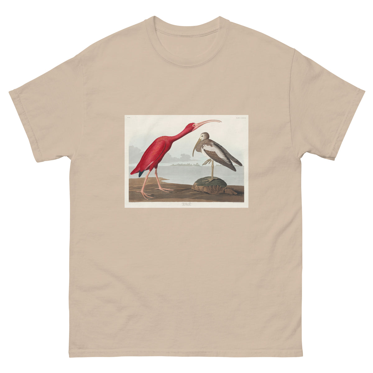 Sand T-shirt Scarlet Ibis - John James Audubon 1827 Essential