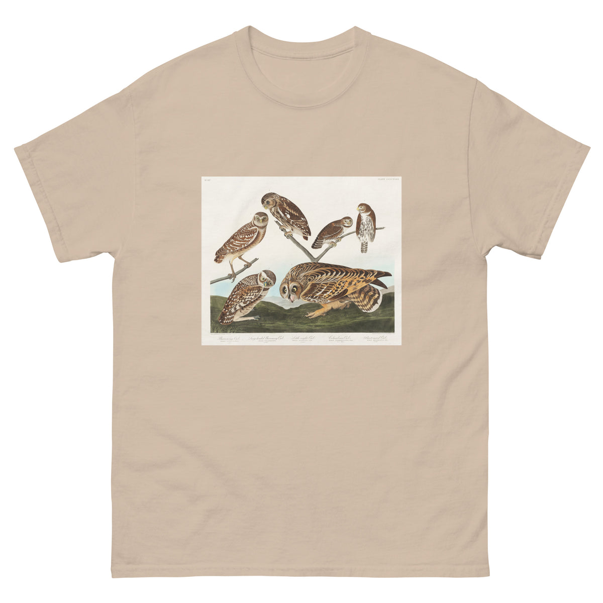 Sand T-shirt Burrowing Owl Large-Headed Burrowing Owl Little Night Owl Columbian Owl And Short-Cared Owl - John James Audubon 1827 Essential