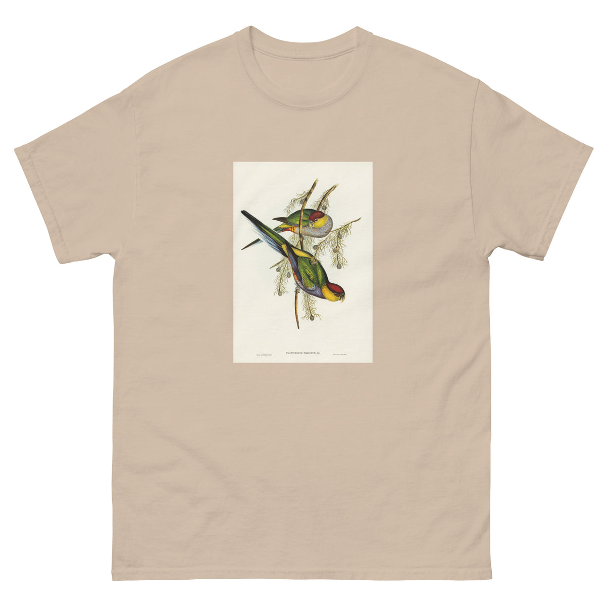 Sand T-shirt Red-Capped Parakeet Platycercus Pileatus Illustrated - Elizabeth Gould 1804 Essential