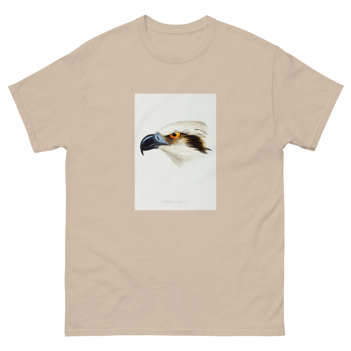 Sand T-shirt White-Headed Osprey Pandion Leucocephalus Illustrated Essential