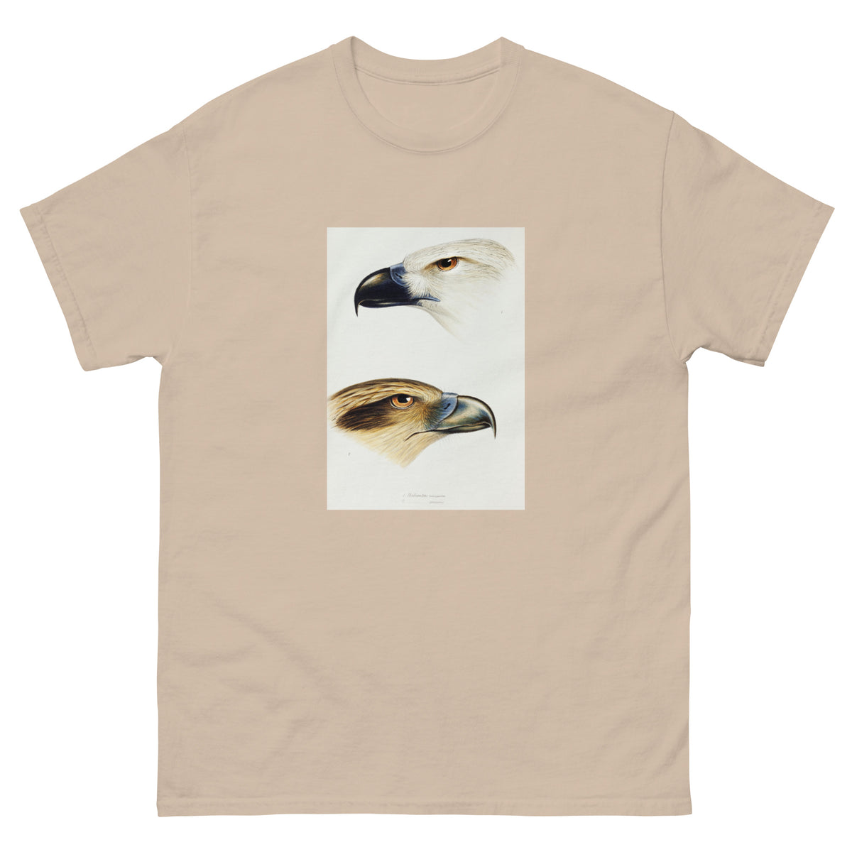 Sand T-shirt 1 White-Bellied Sea Eagle Haliaeetus Leucogaster 2 Whistling Kite Haliastur Sphenurus Illustrated Essential