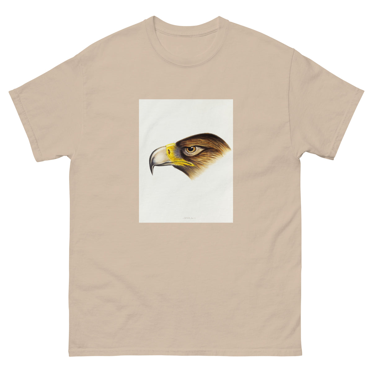 Sand T-shirt Wedge-Tailed Eagle Aquila Fucosa Illustrated Essential