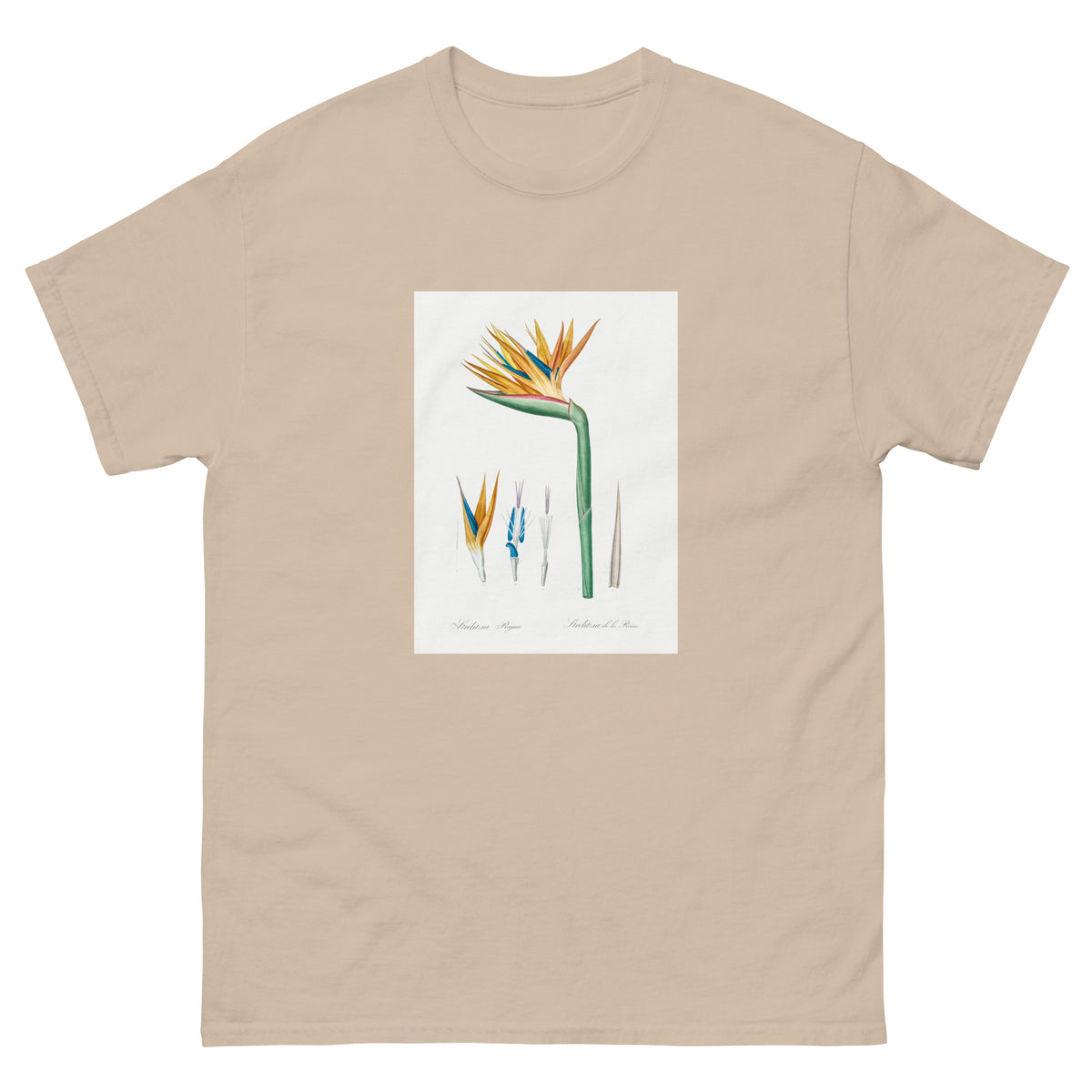 Sand T-shirt Bird Of Paradise Illustration Essential