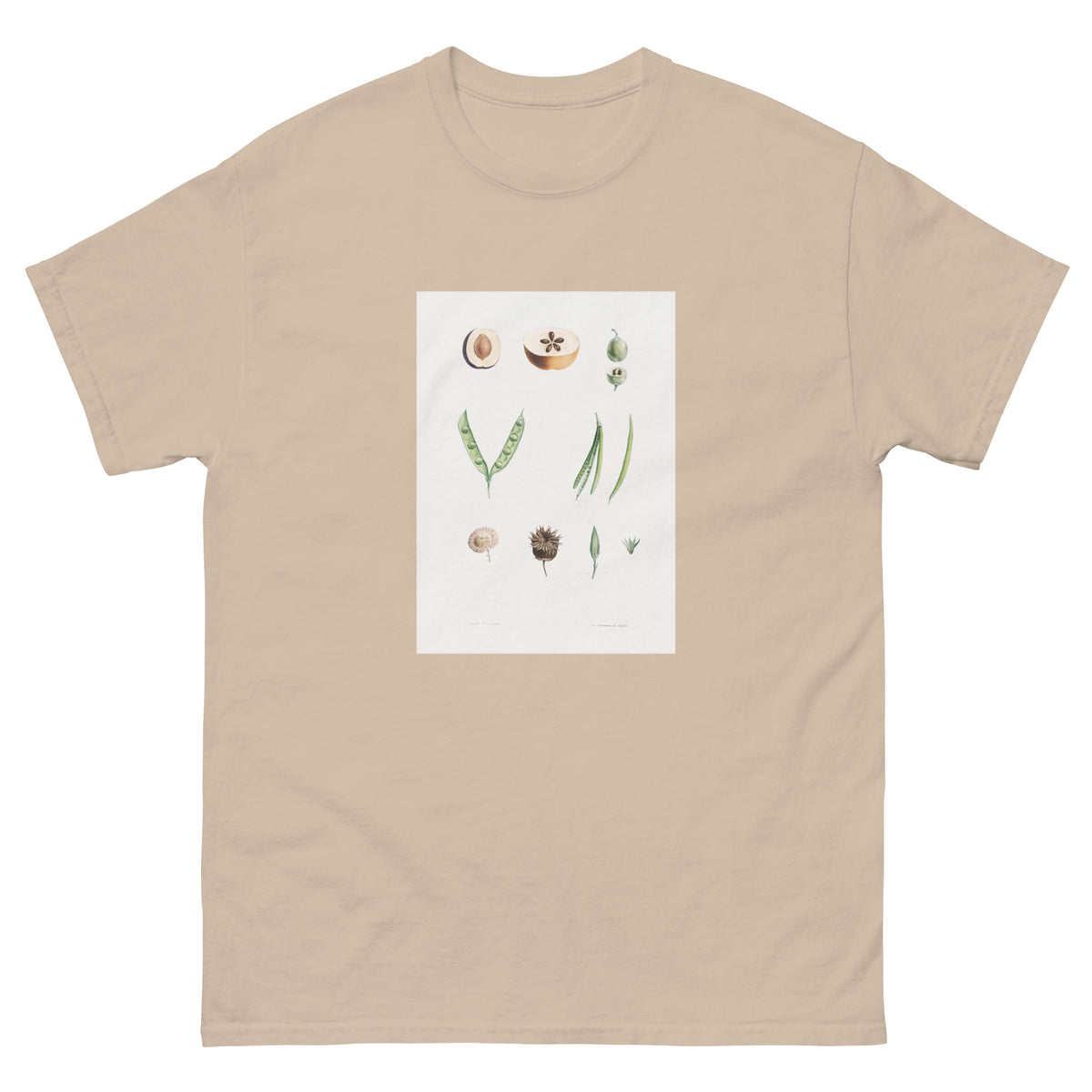 Sand T-shirt Plants Part - Pierre-Joseph Redoute 1759 Essential
