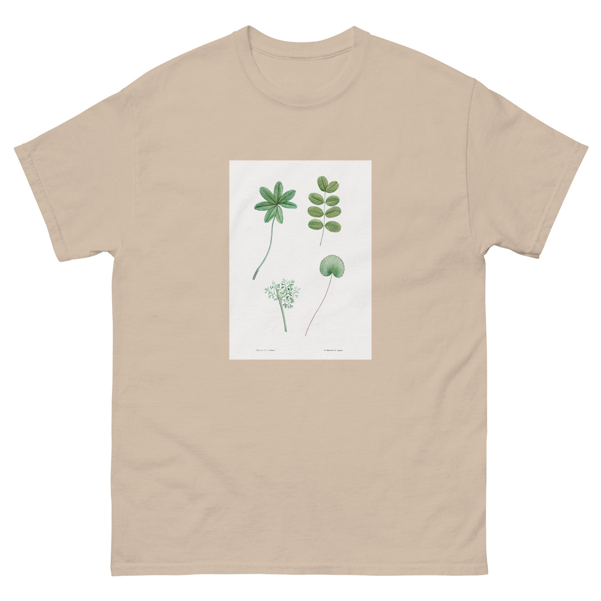 Sand T-shirt Tree Leaf Set - Pierre-Joseph Redoute 1759 Essential