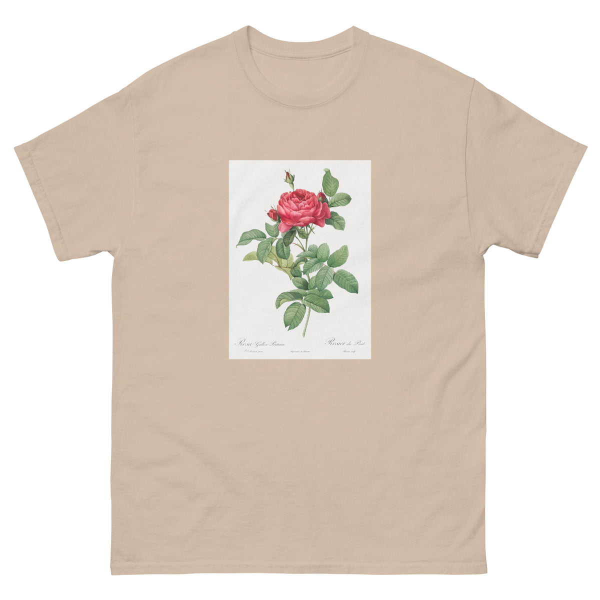 Sand T-shirt Rosa Gallica Pontiana Also Known As Bridge Rose Essential
