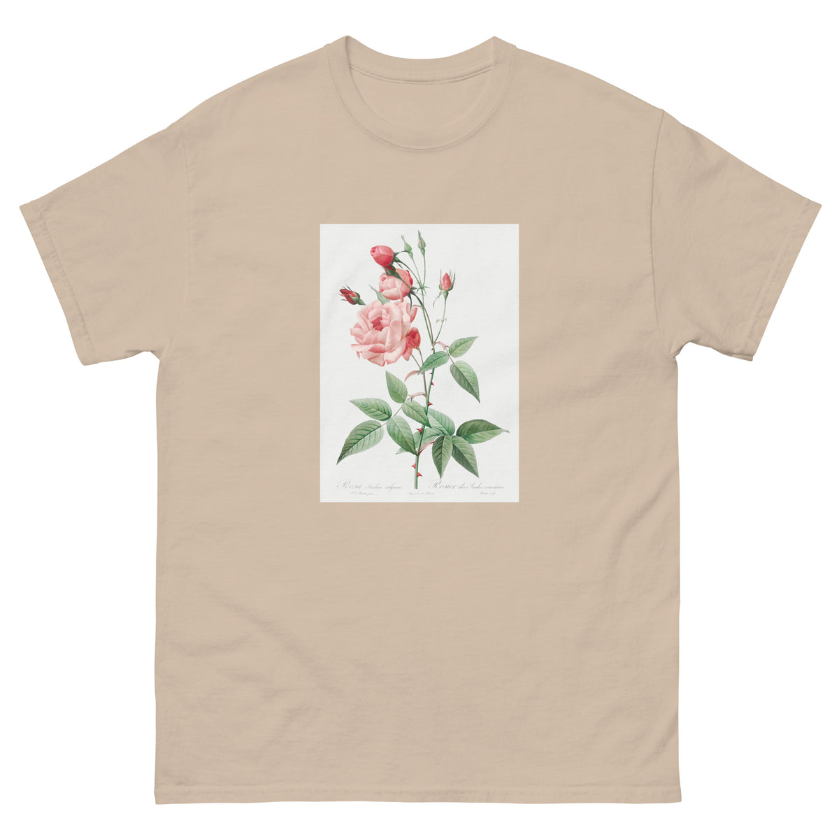 Sand T-shirt Old Blush China Also Known As Common Rose Of India Rosa Indica Vulgaris Essential