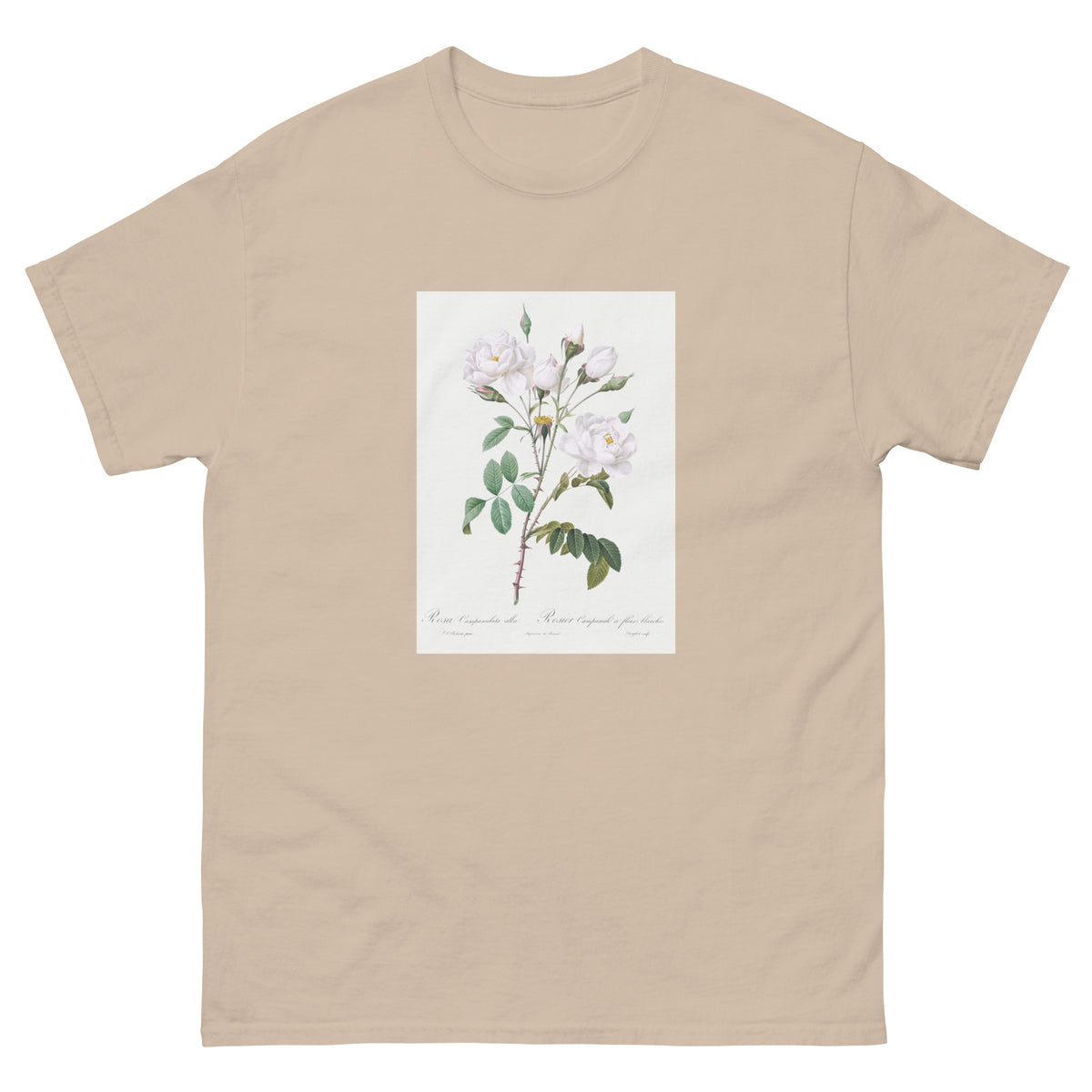 Sand T-shirt Rosa Campanulata Alba Also Known As Pink Bellflowers To White Flowers Essential