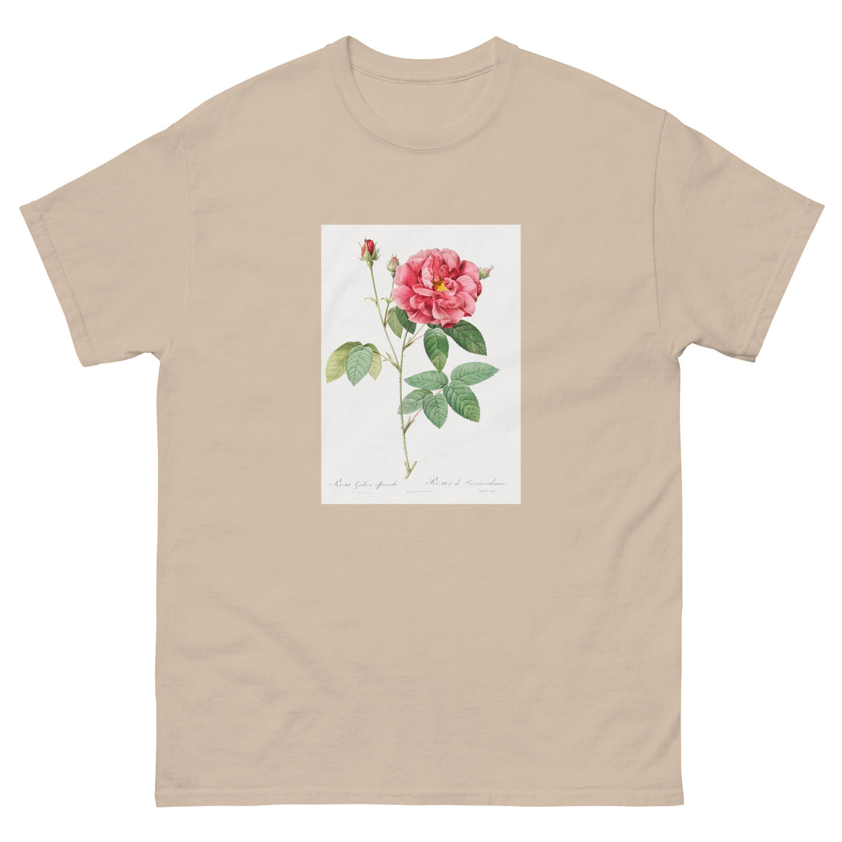 Sand T-shirt French Rose Also Known As Ordinary Provins Rosebush Rosa Galluca Offuenalis Essential