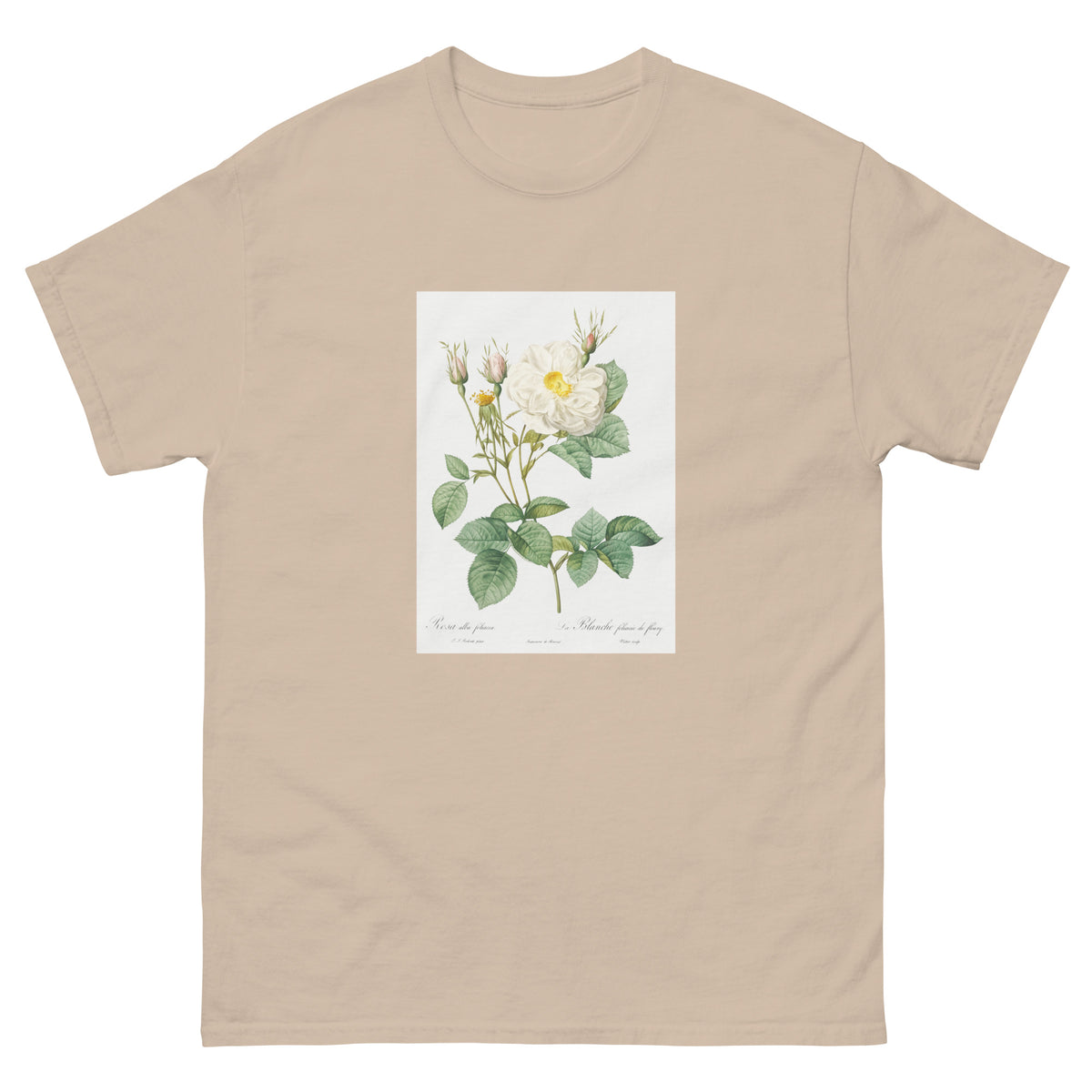 Sand T-shirt Rosa X Alba Also Known As The White Leaf Of Fleury Rosa Alba Foliacea Essential