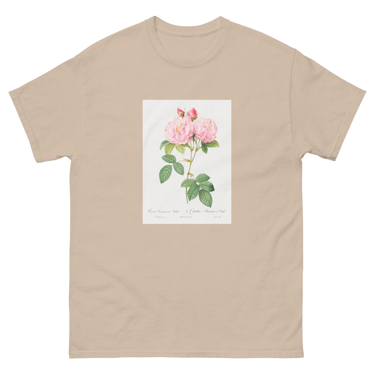 Sand T-shirt Italian Damask Rose Also Known As The Four Seasons Of Italy Rosa Damascena Italica Essential