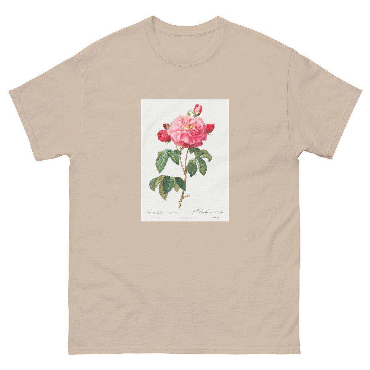 Sand T-shirt Gallic Rose Also Known As The Duchess Of Orleans Rosa Gallica Aurelianensis Essential