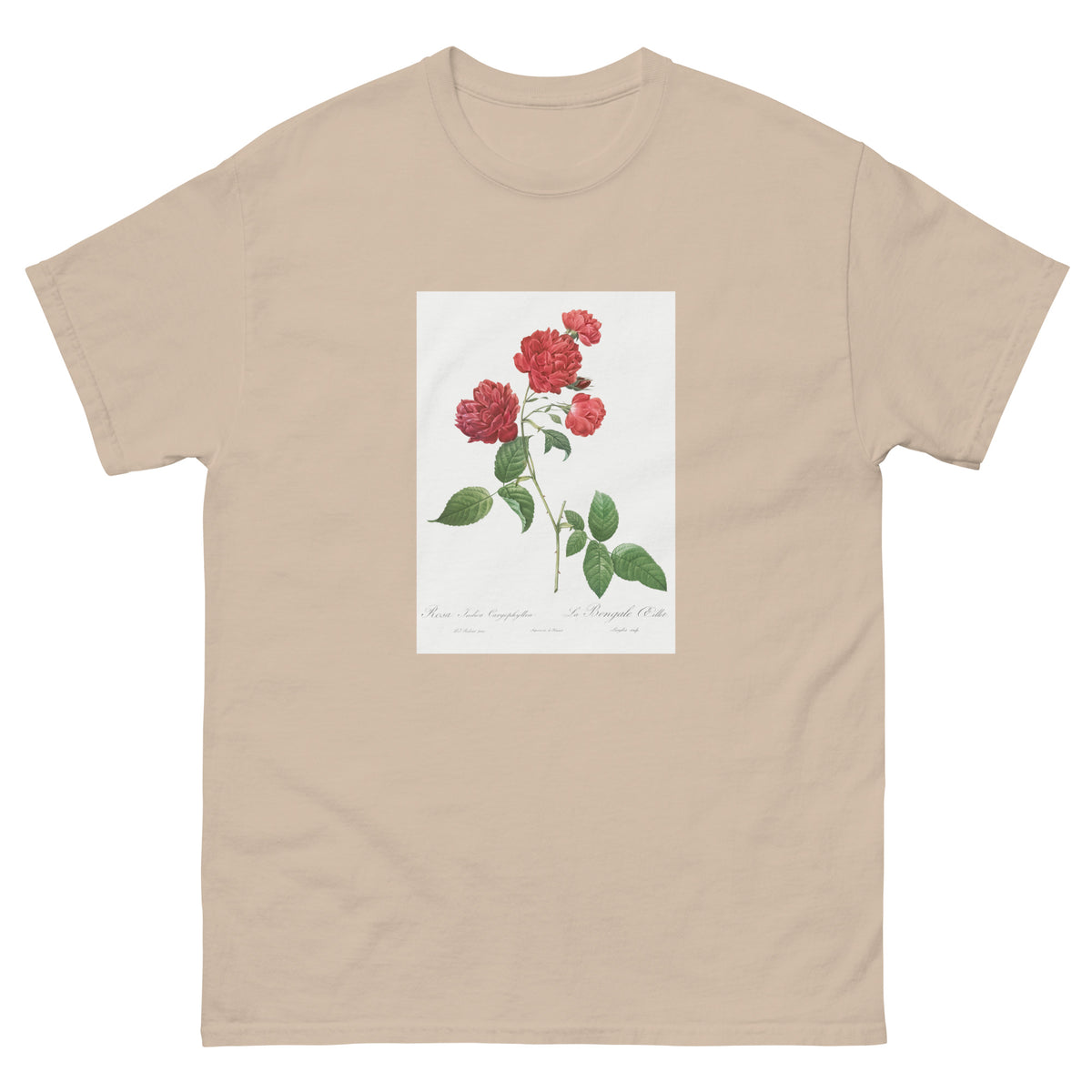 Sand T-shirt Red Cabbage Rose Also Known As Bengal Eyelet Rosa Indica Caryophyllea - Pierre-Joseph Redoute Original From The Library Of Congress 1817 Essential