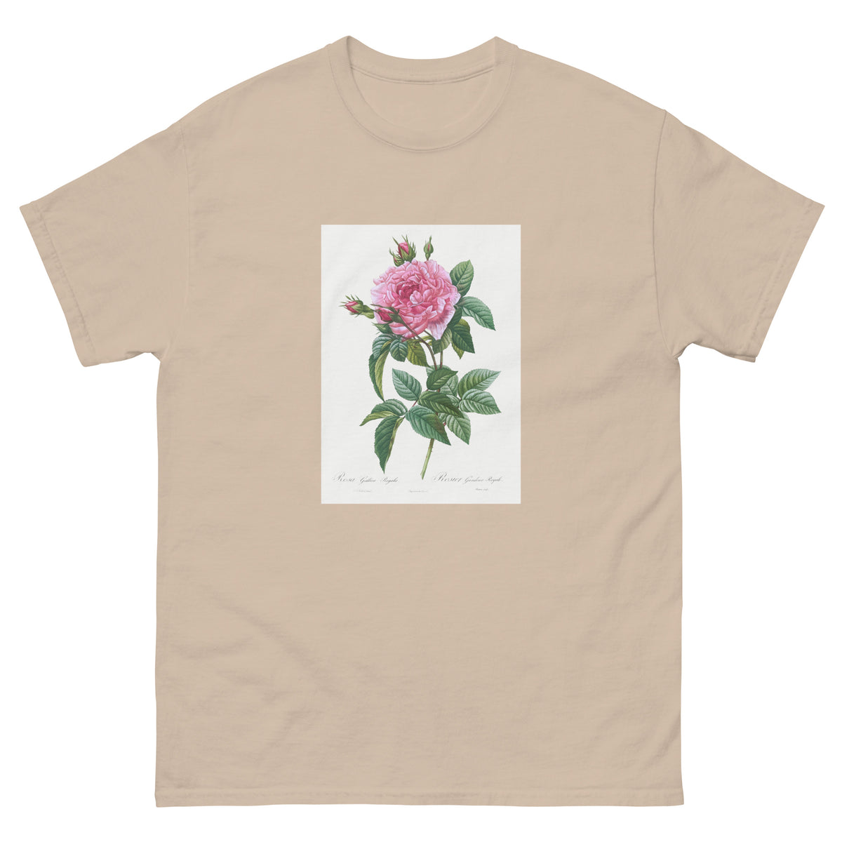 Sand T-shirt Gallic Rose Rosa Gallica Regalis Essential