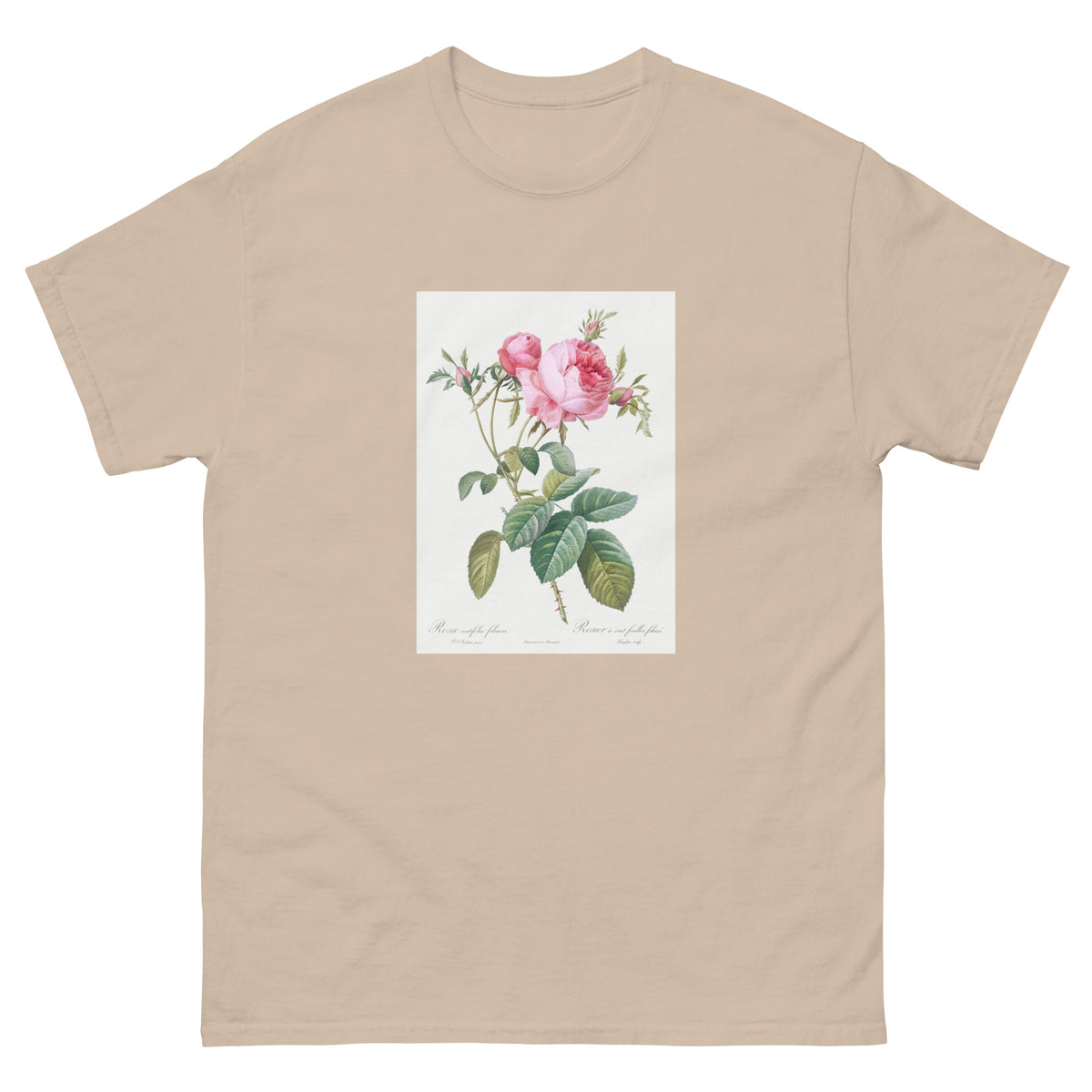 Sand T-shirt Rose De Mai Rosa Centifolia Foliacea Essential