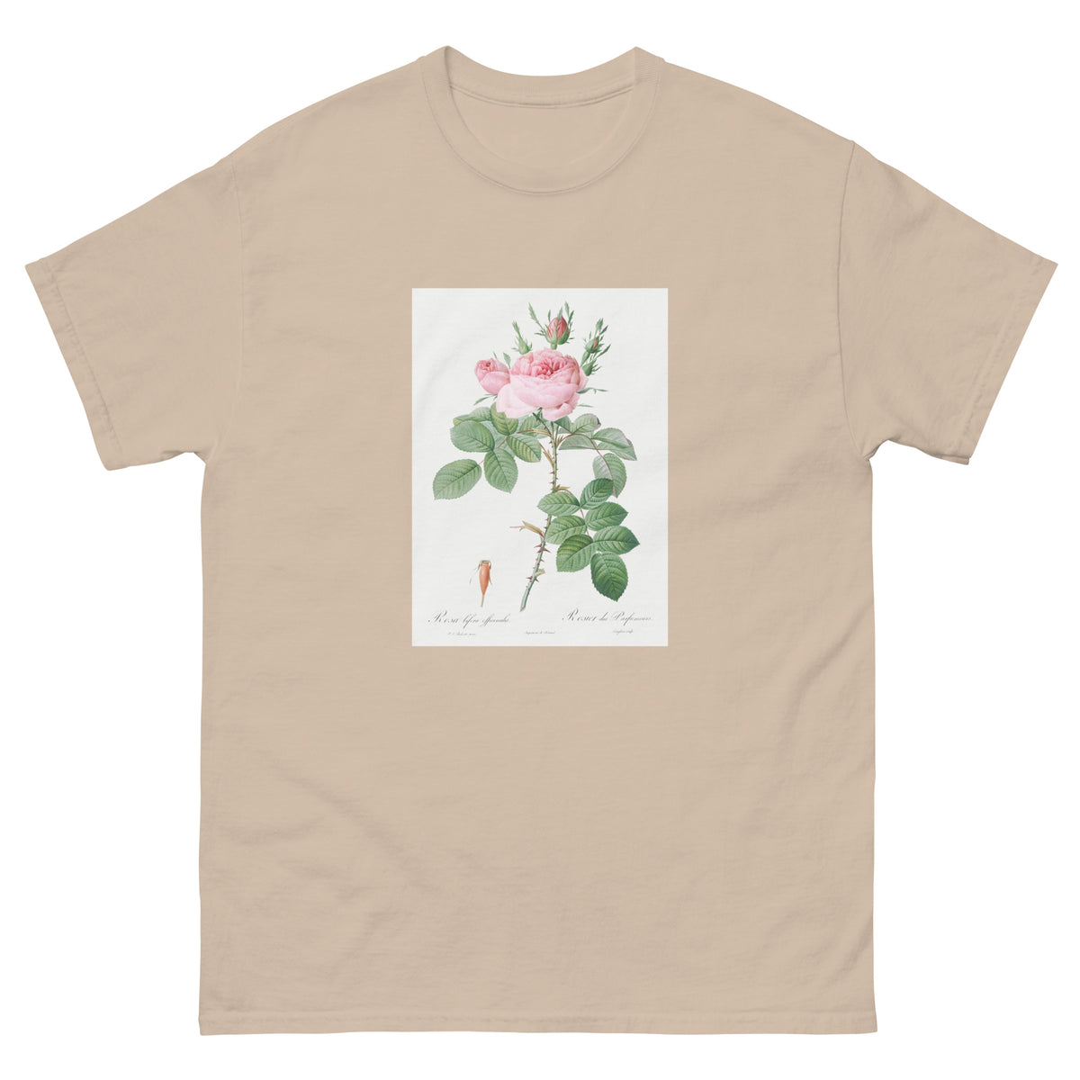 Sand T-shirt Rosa Bifera Officinalis Also Known As Rose Of Perfume Essential