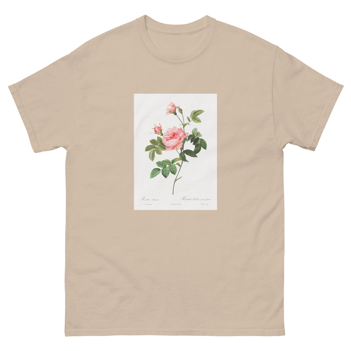 Sand T-shirt Boursault Rose Also Known As Rose Turbine Without Thorns Rosa Inermis Essential
