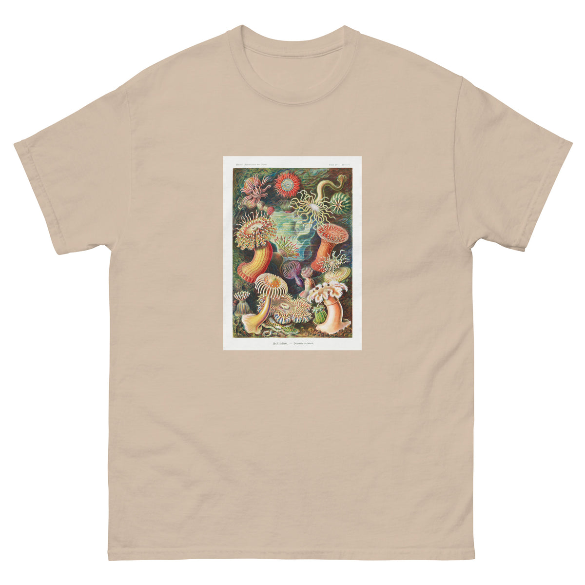 Sand T-shirt Actiniae Seeanemonen Essential