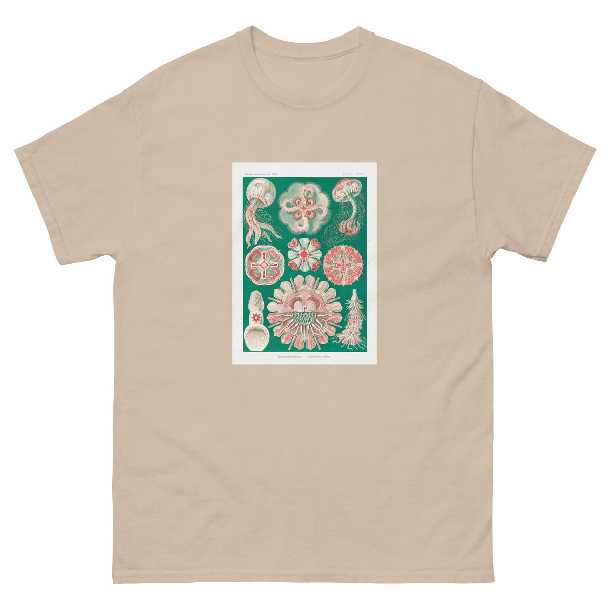 Sand T-shirt Discomedusae Schweibenquallen Essential