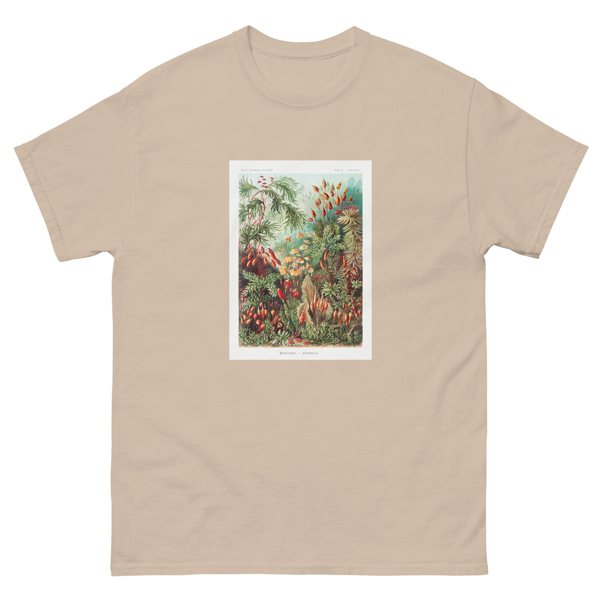 Sand T-shirt Muscinae Laubmoose A Giltsch Gem Essential