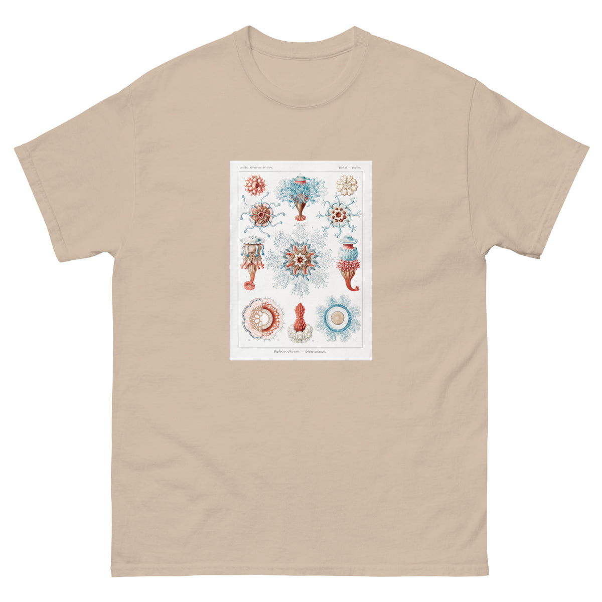 Sand T-shirt Siphonophorae Staatsquallen Essential
