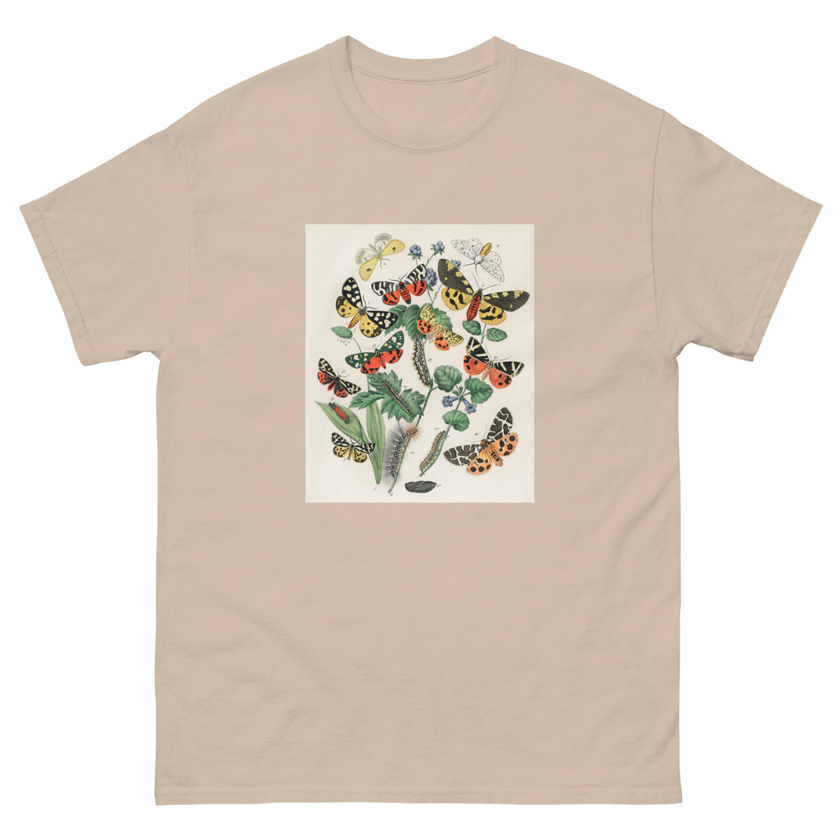 Sand T-shirt Illustrations - William Forsell Kirby 1882 Essential