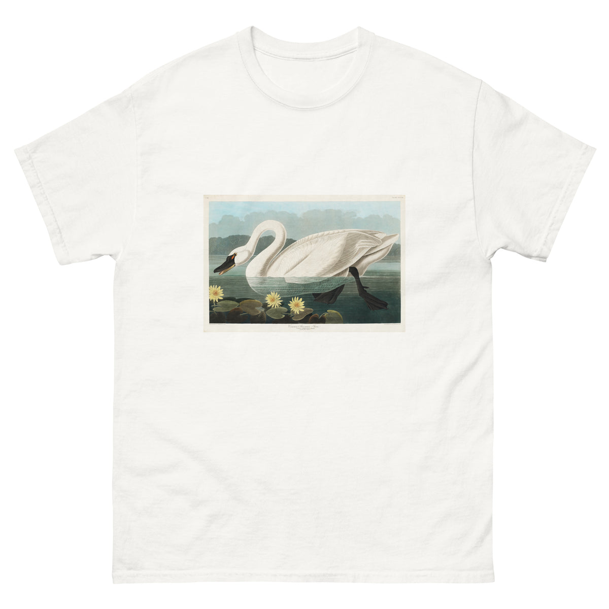 White T-shirt Common American Swan - John James Audubon 1827 Essential