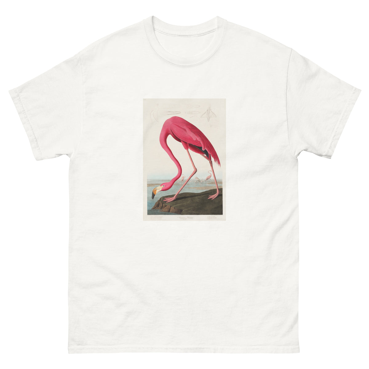 White T-shirt Pink Flamingo - John James Audubon 1827 Essential