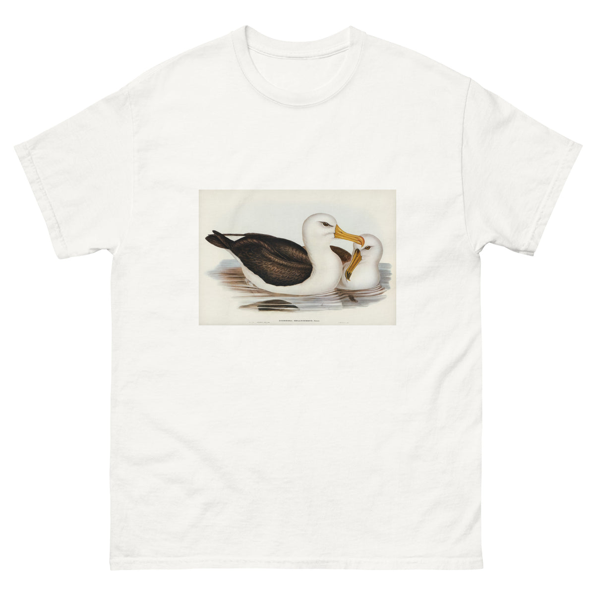 White T-shirt Black-Eyebrowed Albatros Diomedea Melanophrys Illustrated - Elizabeth Gould 1804 Essential