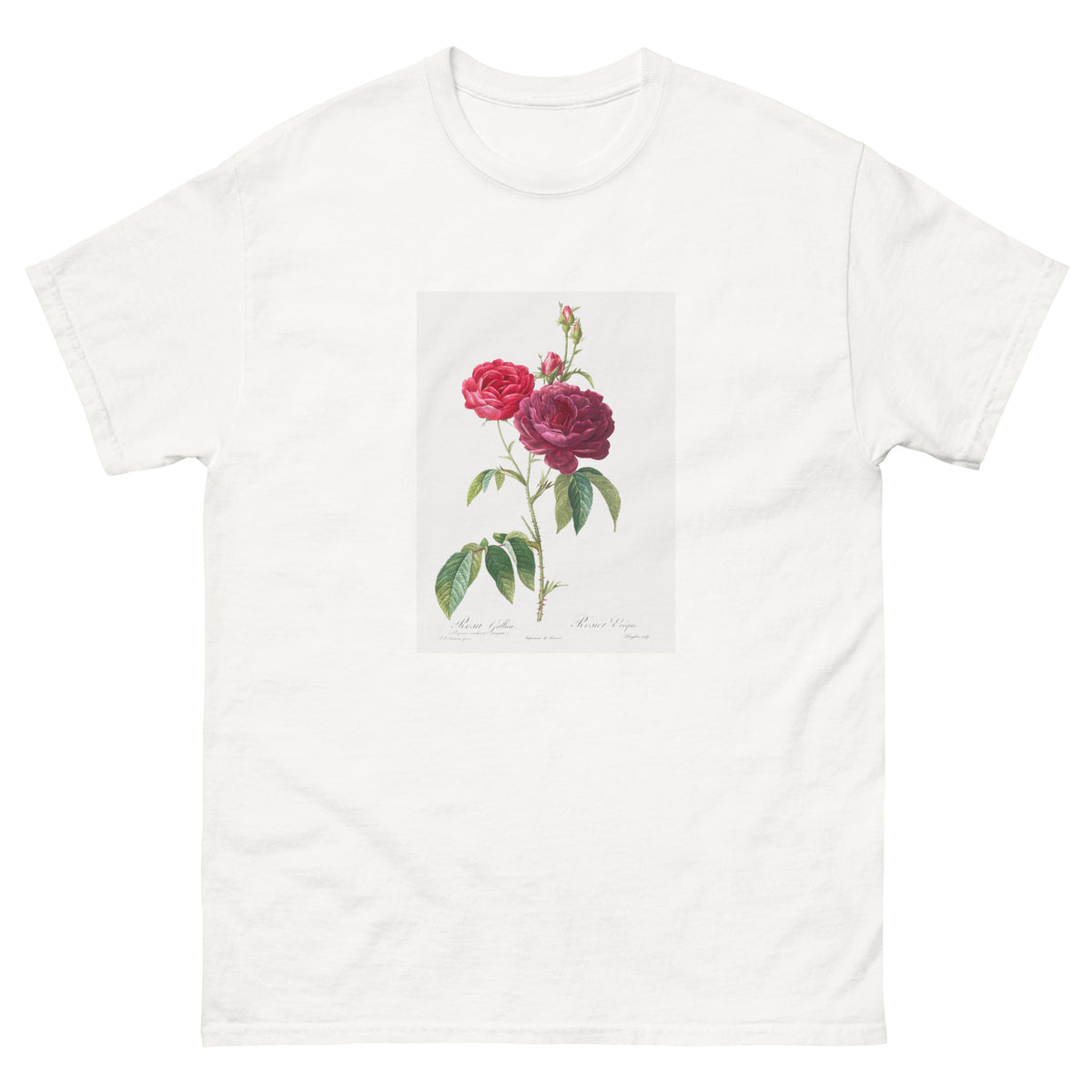 White T-shirt Purple French Rose Rosa Gallica Purpuro-Violacea Magna Essential