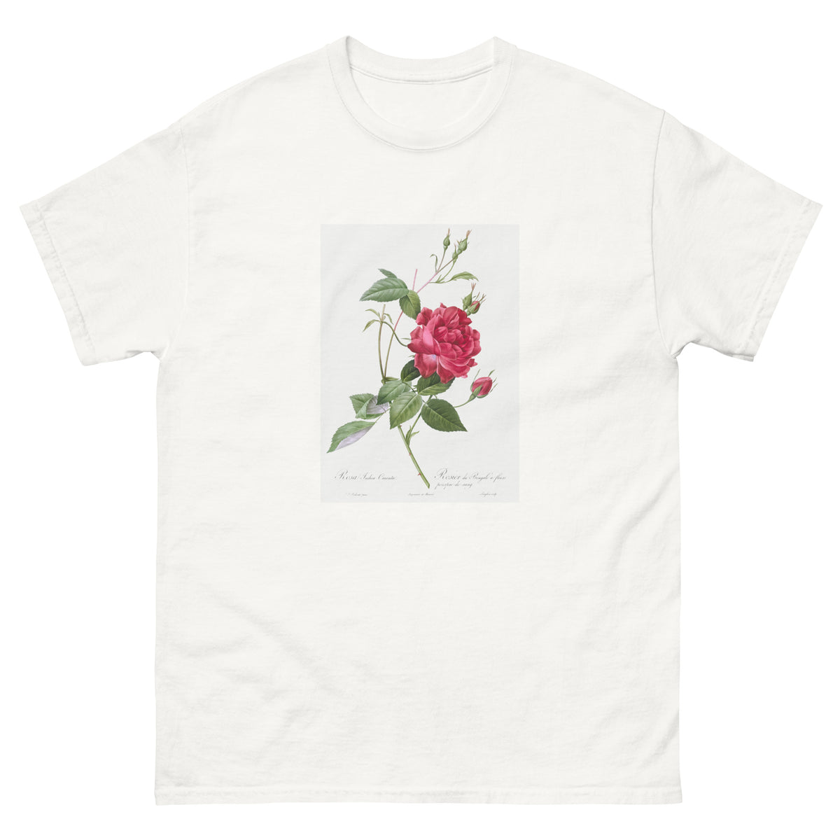 White T-shirt Blood-Red Bengal Rose Rosa Indica Cruneta Essential