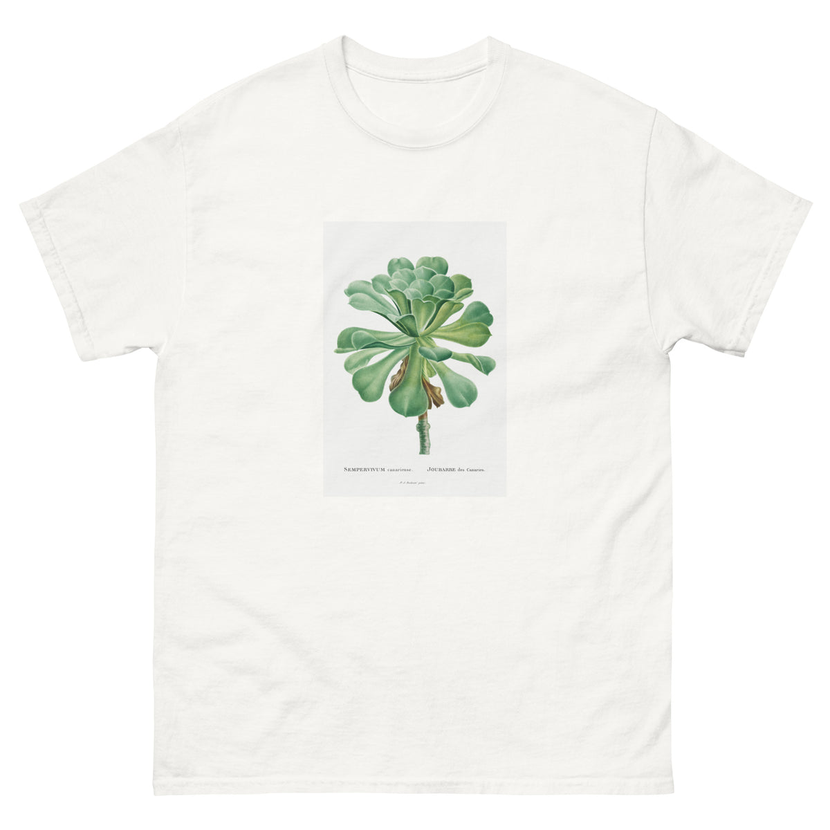 White T-shirt Sempervivum Canariense Image Essential