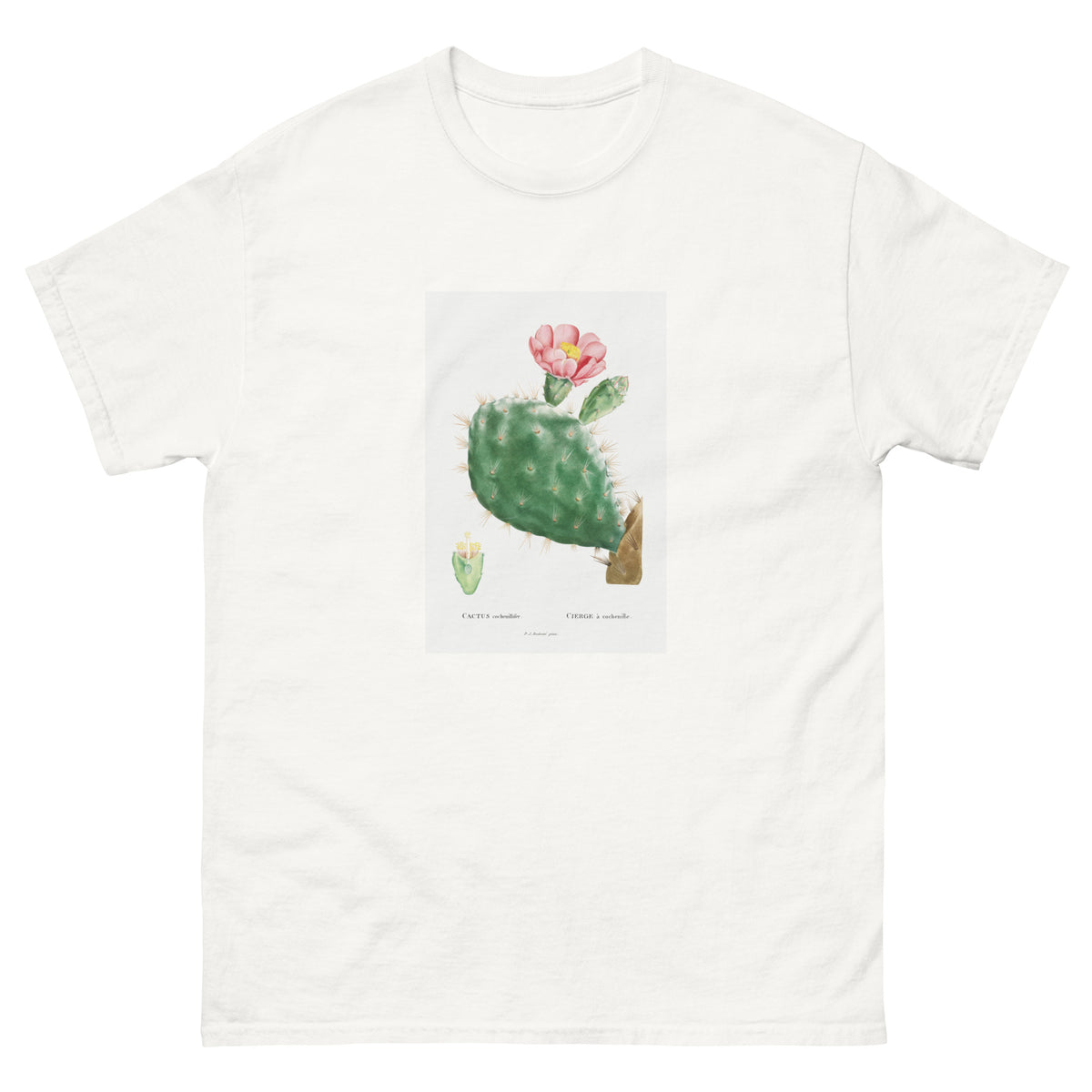 White T-shirt Cactus Cochenillifer Image Essential