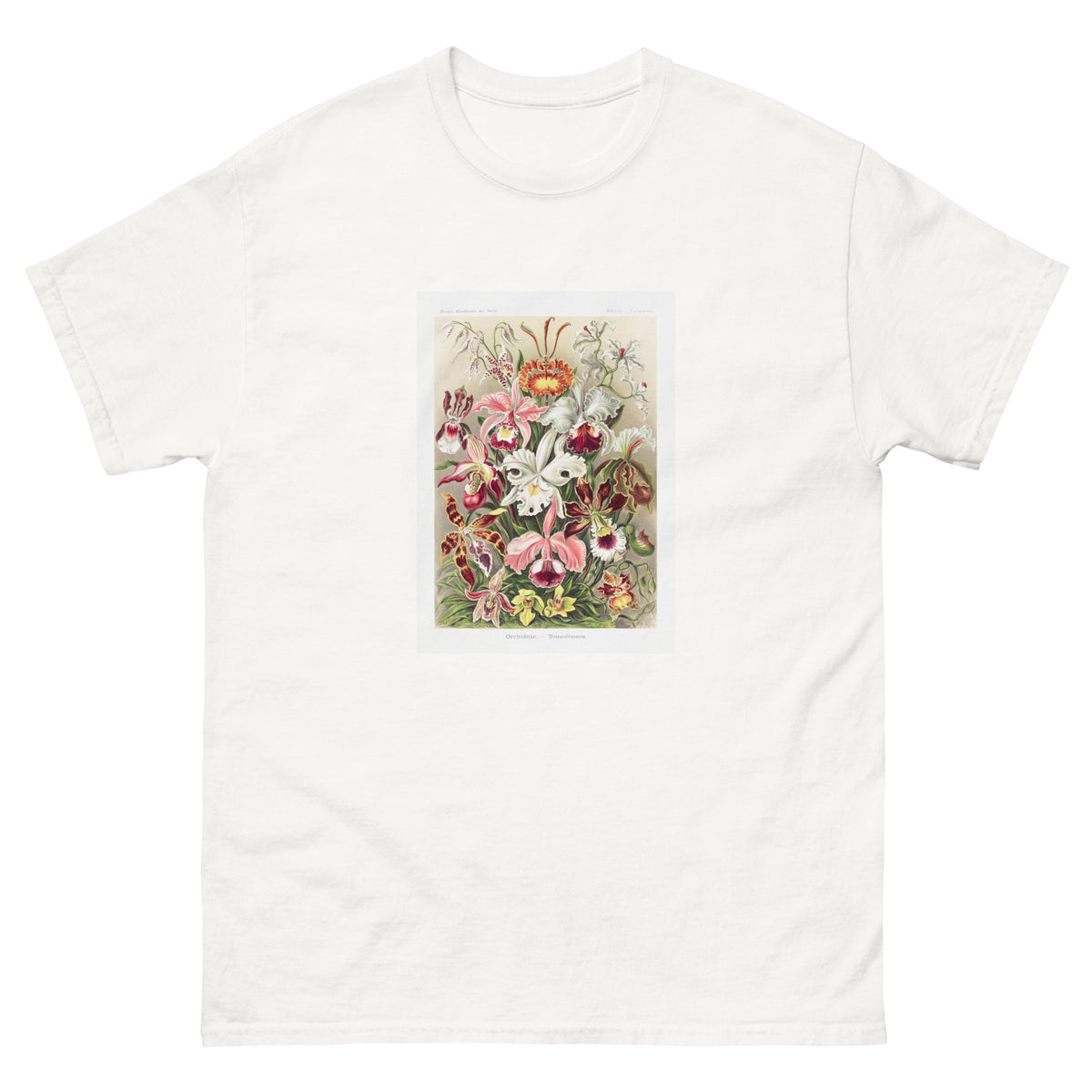 White T-shirt Orchideae Denusblumen A Giltsch Gem Essential