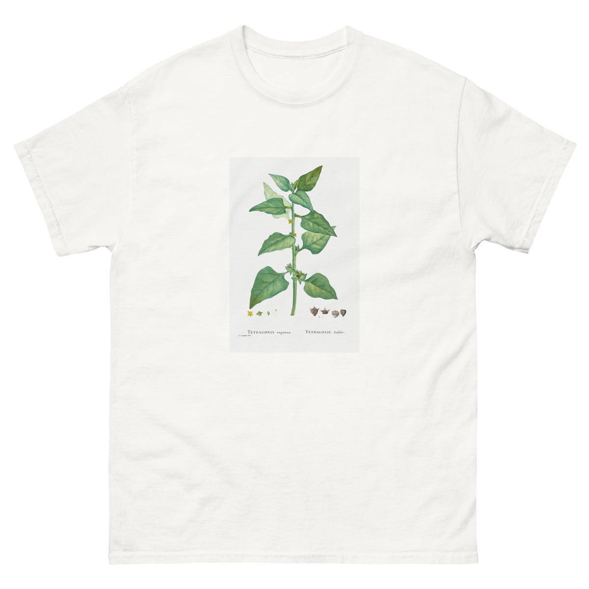 White T-shirt Tetragonia Expansa New Zealand Spinach Essential