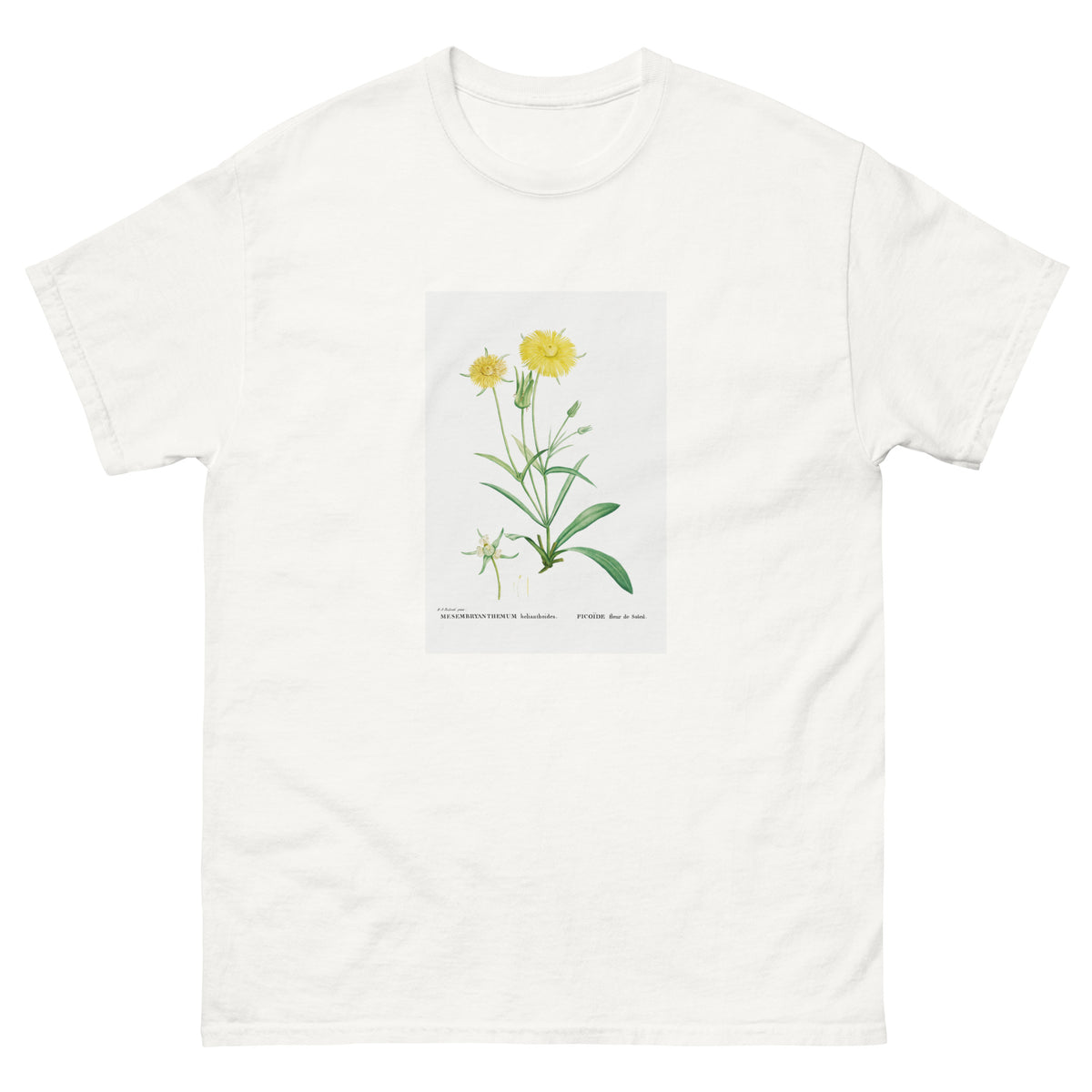 White T-shirt Mesembryanthemum Helianthoides Spatula Leaved Fig Marigold - Pierre-Joseph 1799 Essential