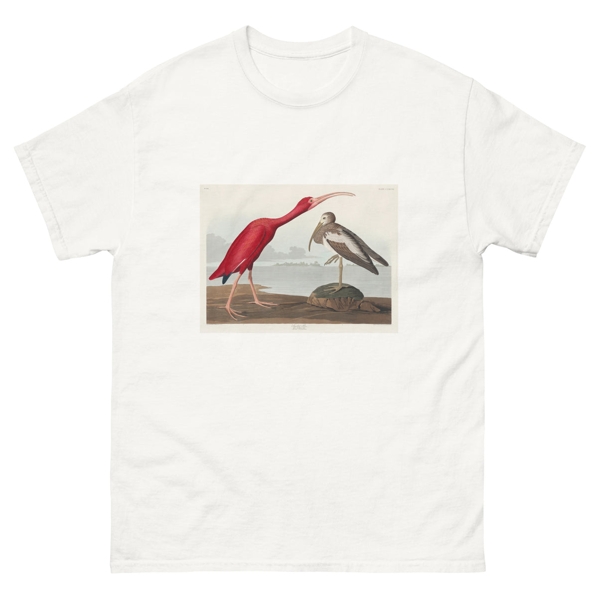 White T-shirt Scarlet Ibis - John James Audubon 1827 Essential