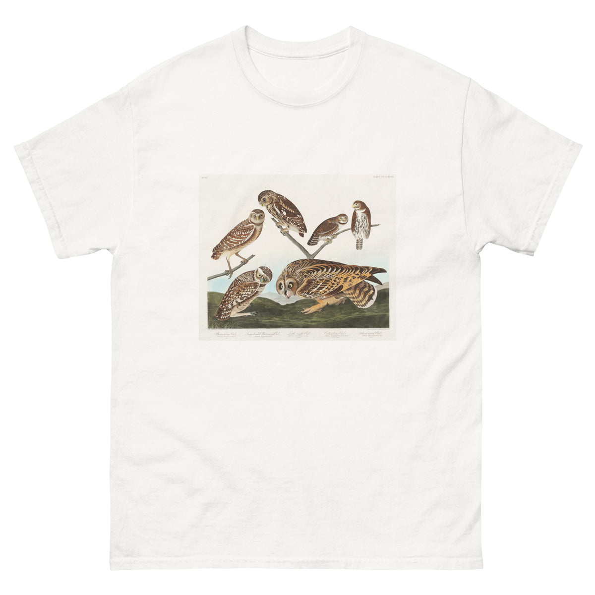 White T-shirt Burrowing Owl Large-Headed Burrowing Owl Little Night Owl Columbian Owl And Short-Cared Owl - John James Audubon 1827 Essential