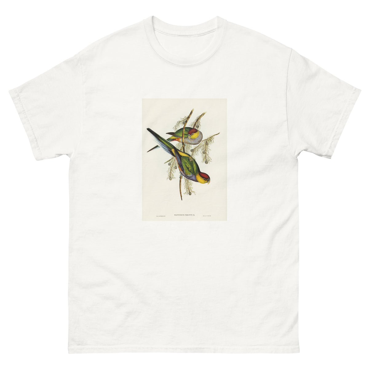 White T-shirt Red-Capped Parakeet Platycercus Pileatus Illustrated - Elizabeth Gould 1804 Essential