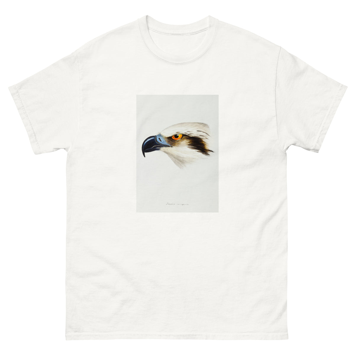 White T-shirt White-Headed Osprey Pandion Leucocephalus Illustrated Essential