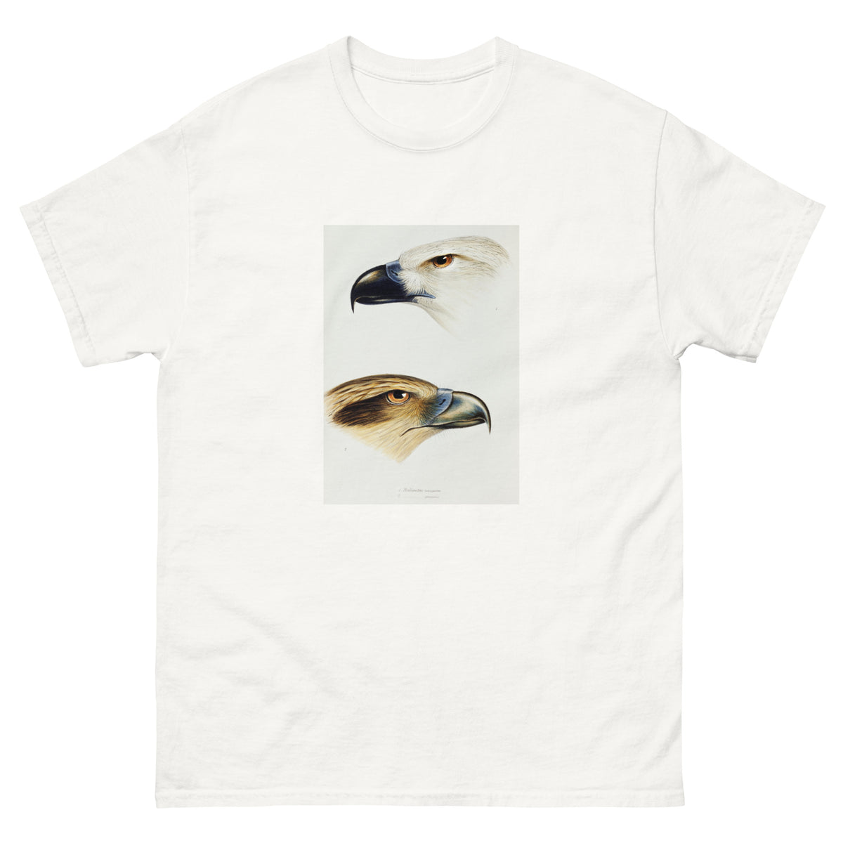 White T-shirt 1 White-Bellied Sea Eagle Haliaeetus Leucogaster 2 Whistling Kite Haliastur Sphenurus Illustrated Essential