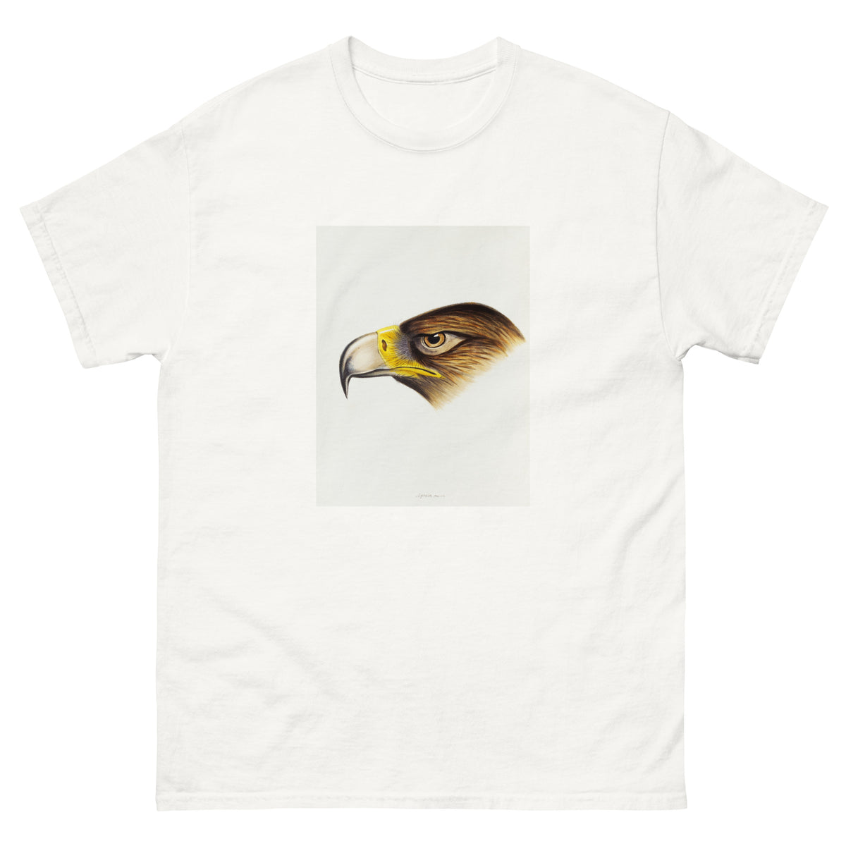 White T-shirt Wedge-Tailed Eagle Aquila Fucosa Illustrated Essential