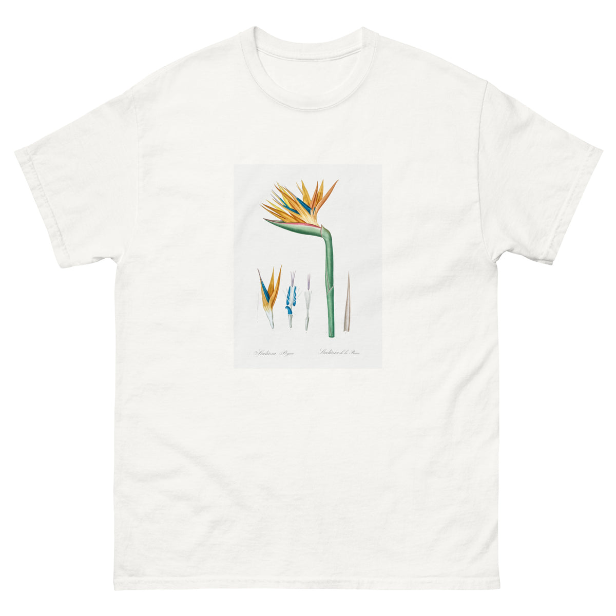 White T-shirt Bird Of Paradise Illustration Essential