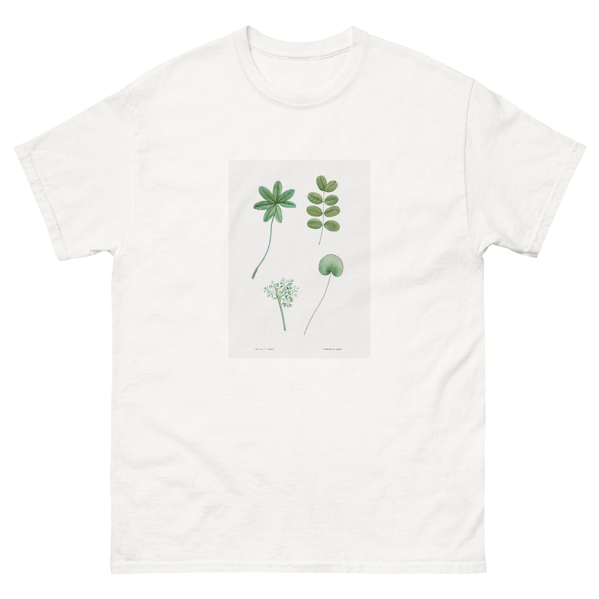 White T-shirt Tree Leaf Set - Pierre-Joseph Redoute 1759 Essential
