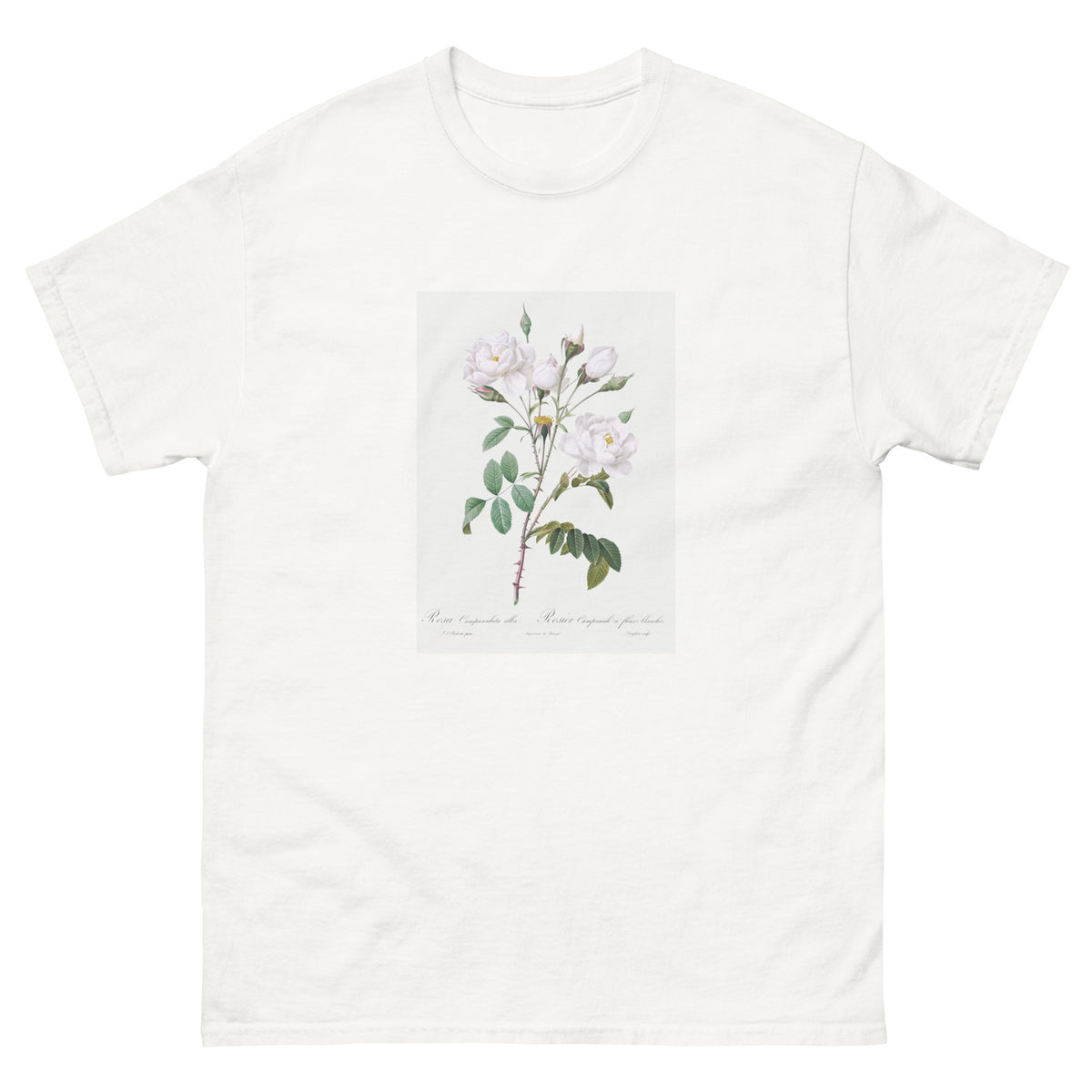 White T-shirt Rosa Campanulata Alba Also Known As Pink Bellflowers To White Flowers Essential