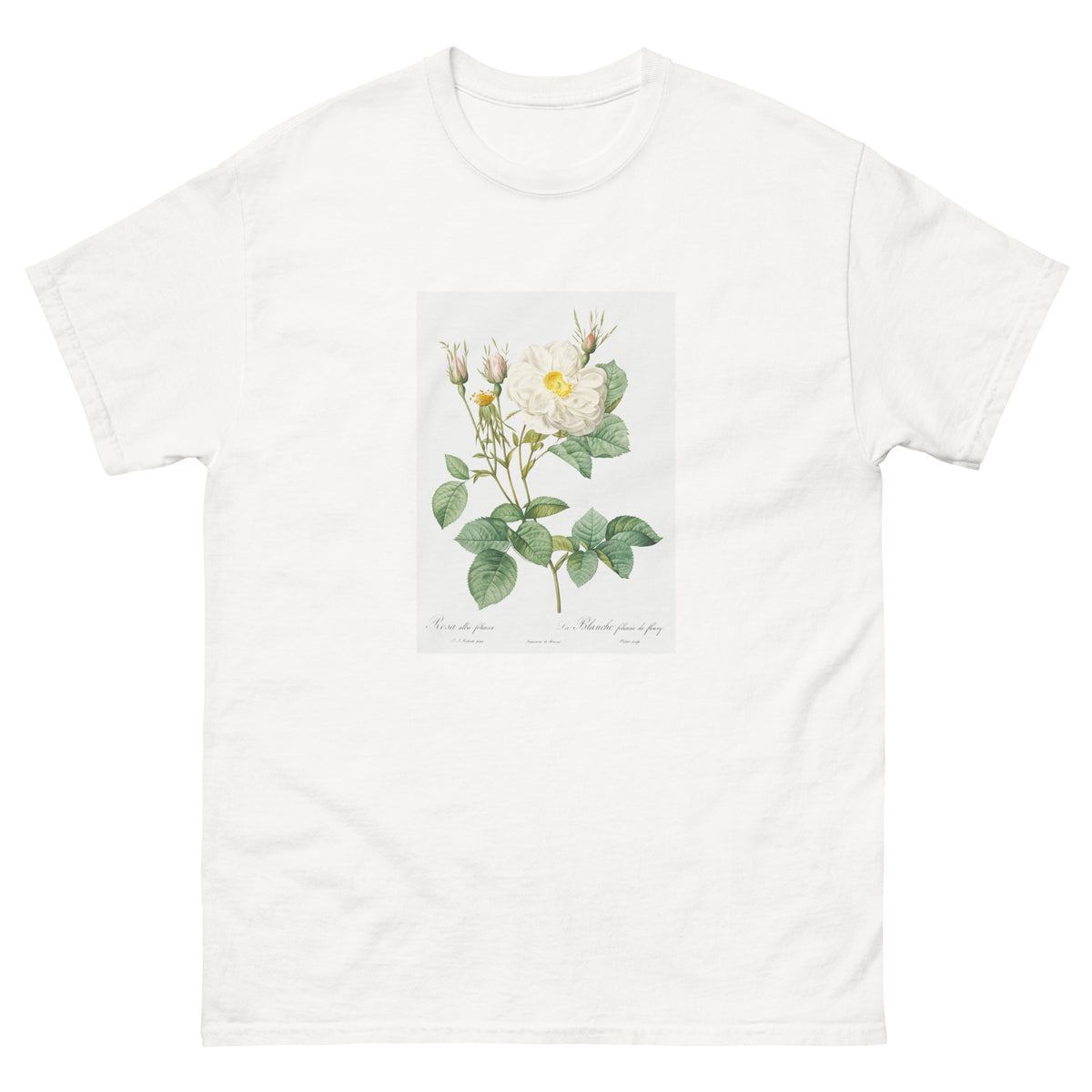 White T-shirt Rosa X Alba Also Known As The White Leaf Of Fleury Rosa Alba Foliacea Essential