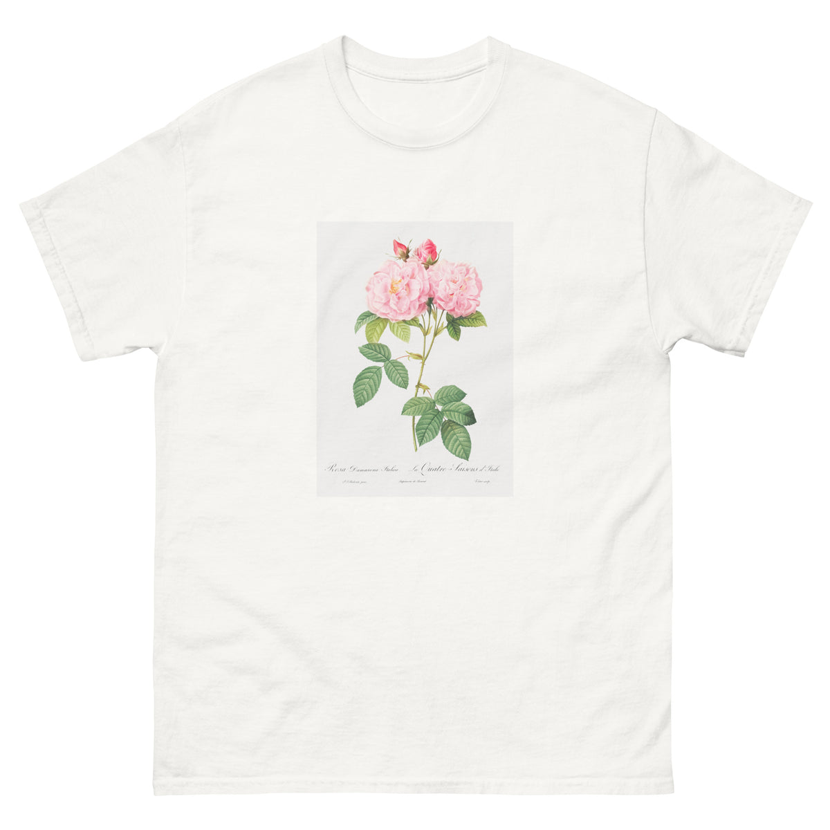 White T-shirt Italian Damask Rose Also Known As The Four Seasons Of Italy Rosa Damascena Italica Essential