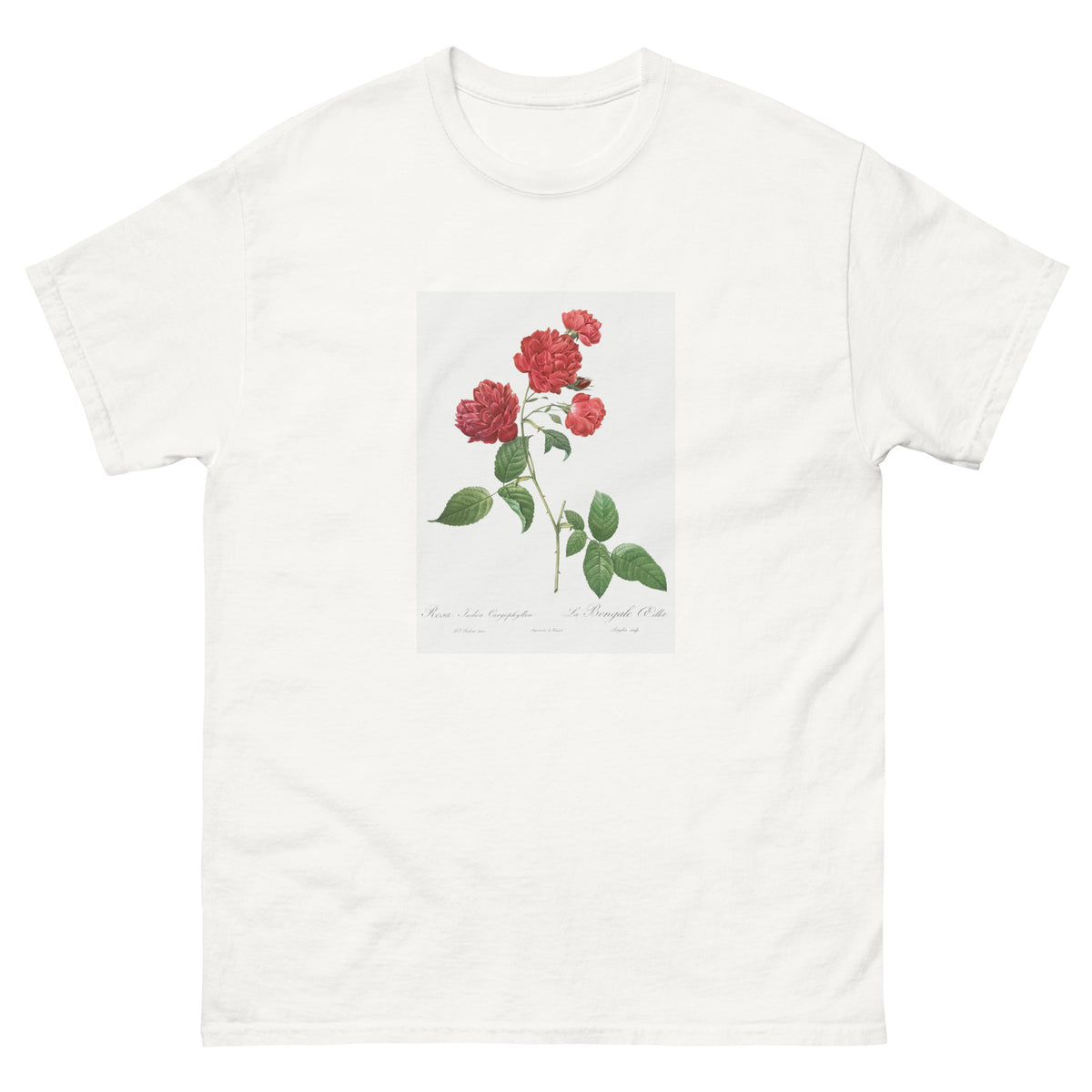 White T-shirt Red Cabbage Rose Also Known As Bengal Eyelet Rosa Indica Caryophyllea - Pierre-Joseph Redoute Original From The Library Of Congress 1817 Essential